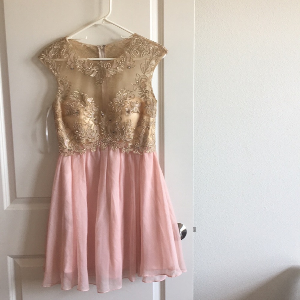 Pink & Gold Mesh Mini Dress
